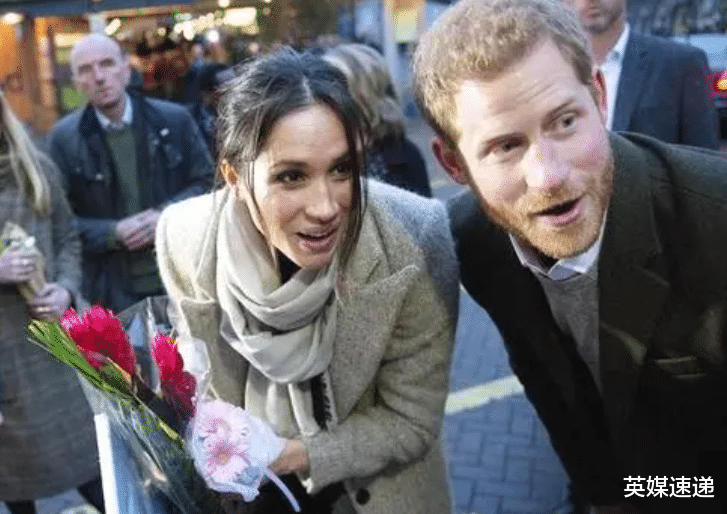 流浪狗|揭露梅根抛弃流浪狗的真正原因：曾经领养只为讨好名气巨大的女星