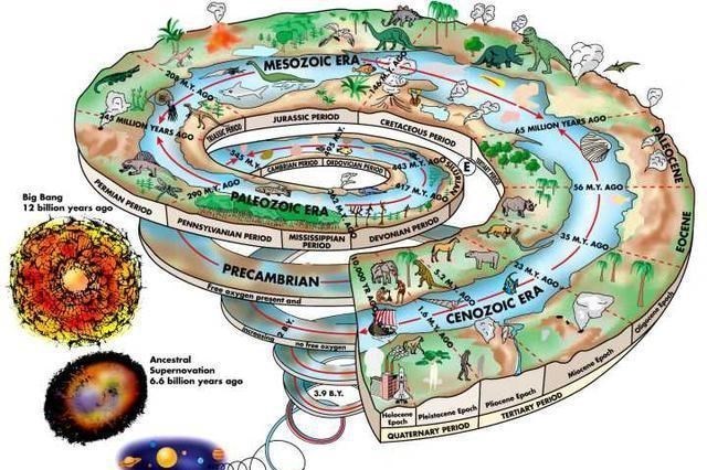 科学家 进化论的终极BUG：乌龟，如何成为科学家们的噩梦？