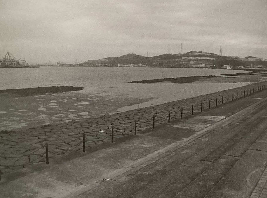 日本|[路亚钓] 钓鱼的涨潮落潮，日本专业钓鱼书籍