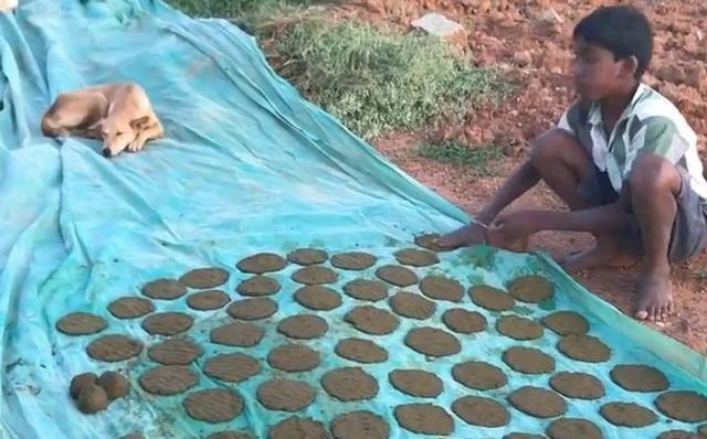 奶豆说育儿|印度“牛粪饼”标价30元，想打通中国市场，还预言会在我国大卖