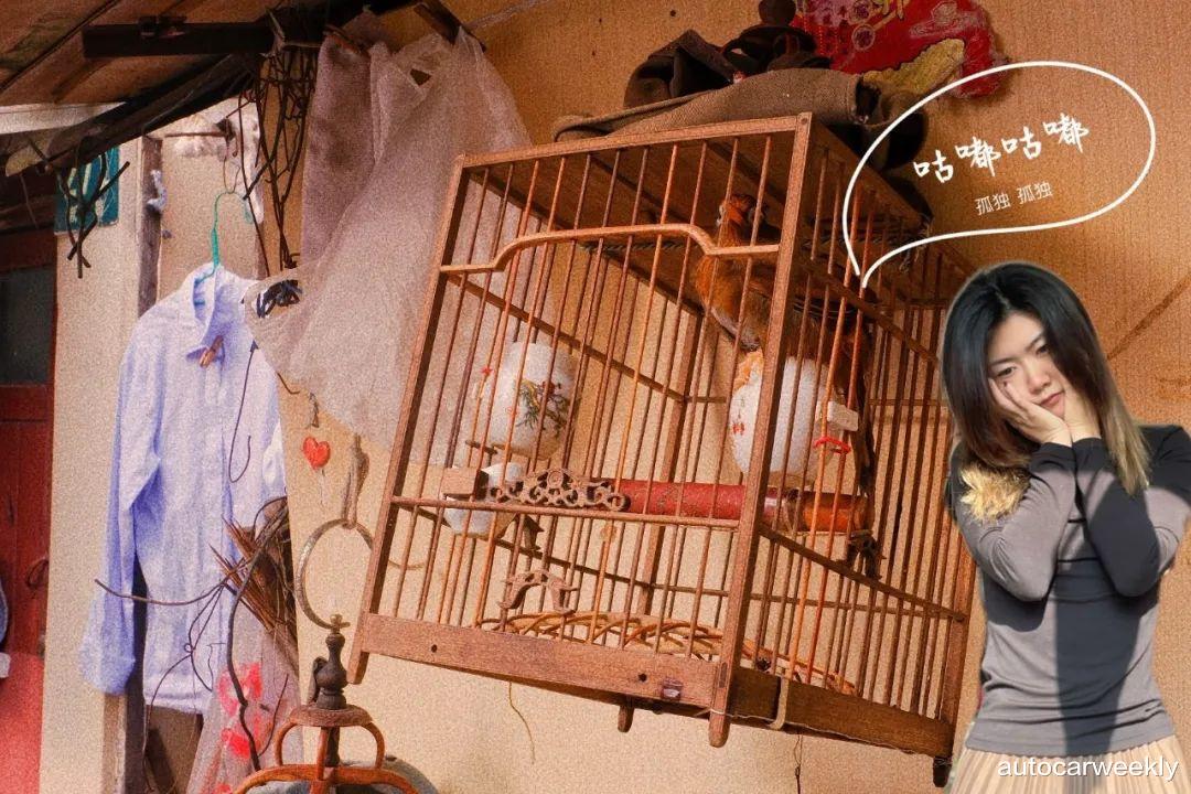 双十二|他开上了M4，也不再需要一台虬江路的组装电脑