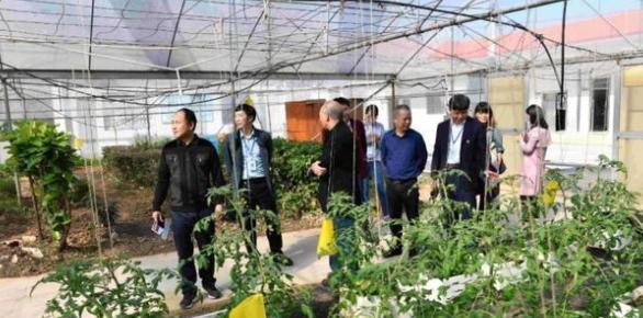 宝贝|校长花3年时间培养的“宝贝”，被农民班毁了，直接全班挂科？