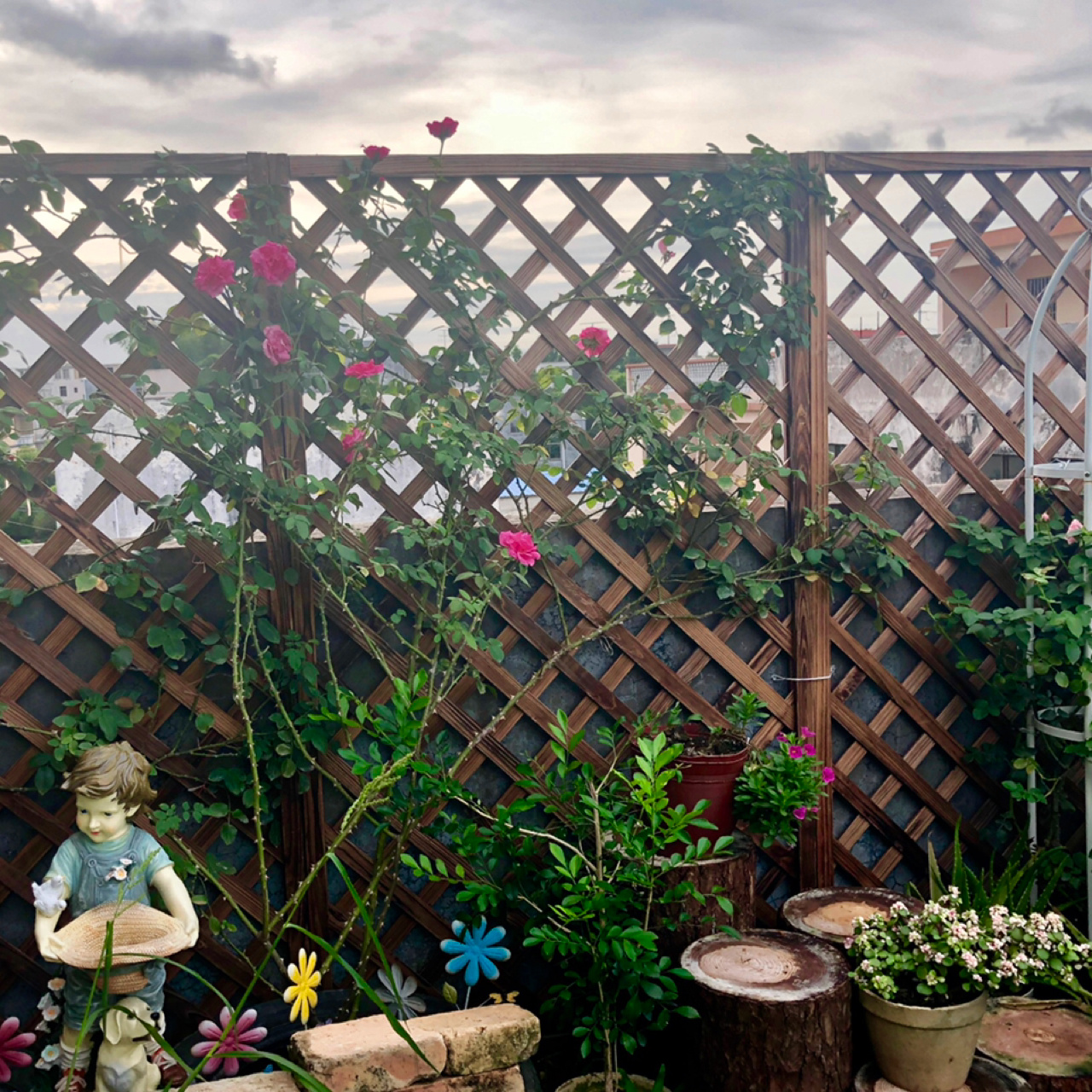 荒废多年的80㎡楼顶露台,DIY改造花园,从无到有满满的成就感了