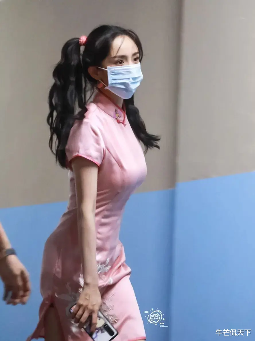 杨幂|杨幂，假道歉，真「犯贱」！