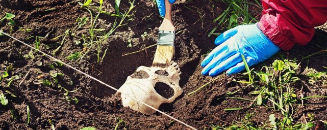 人死后,眼前会像放电影一样,回忆过去吗?那些关于死亡的冷知识