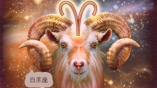 创优咖|义无反顾,为爱沉沦的星座