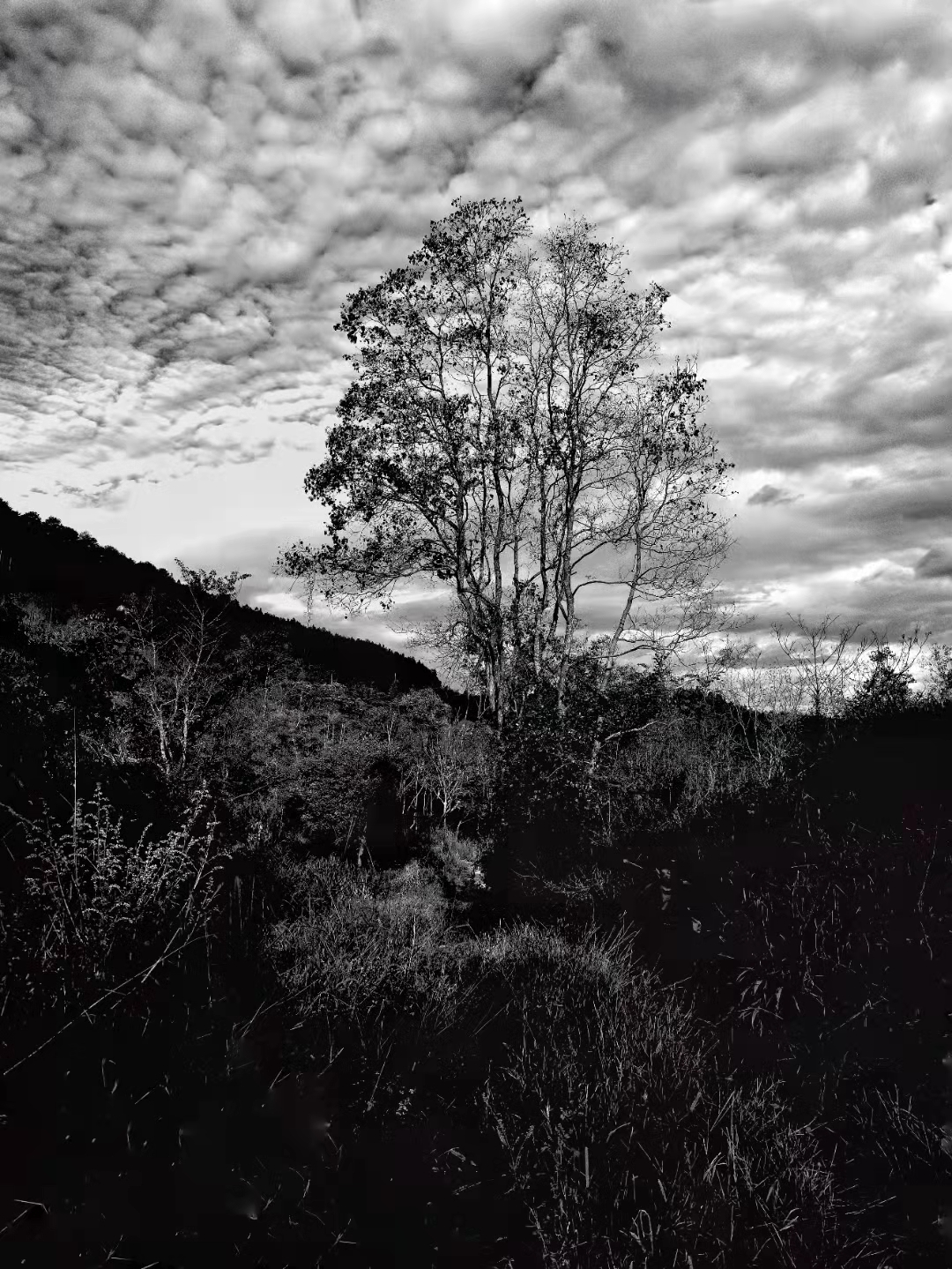 这才是内心最真实的色彩 即使是再小的恐惧也会被无限放大