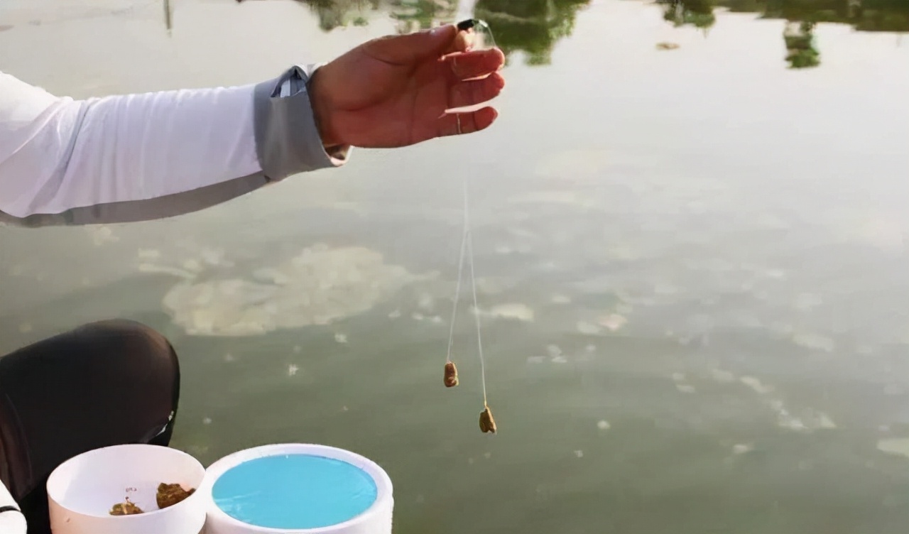 饵料|垂钓中是否存在档口问题？怎么个档口法？咋避免？一次说个明白