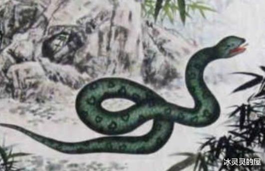 生肖|5月份起，四大生肖将令人刮目相看，事业乘风破浪，愿望成真！