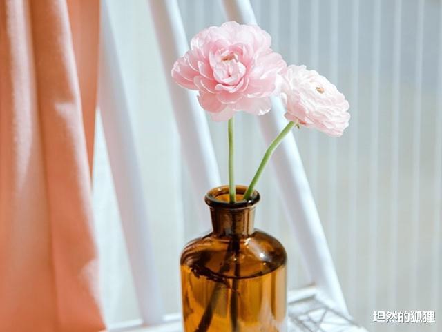 坦然的狐狸|能相伴到老的人,都会有这些爱的“痕迹”