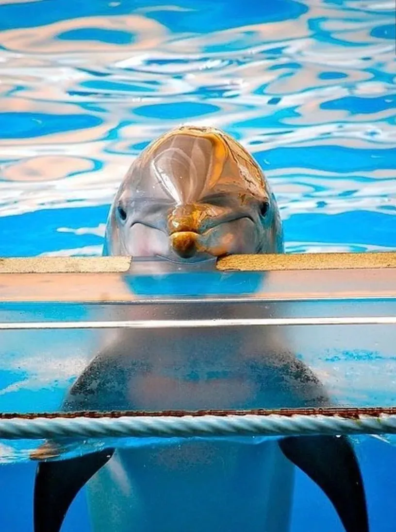  巴夏Bashar：奇迹，不是例外，体验不到奇迹，才叫异常!