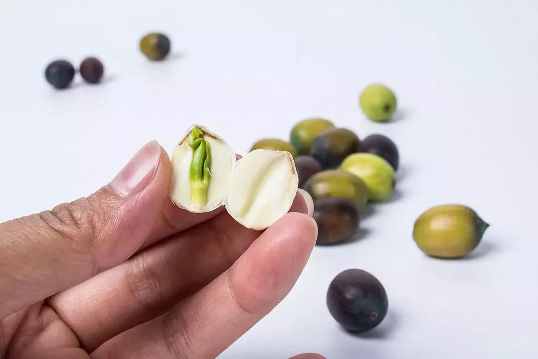 肺癌|盘点:论安神的中草药,这几味首当其冲!