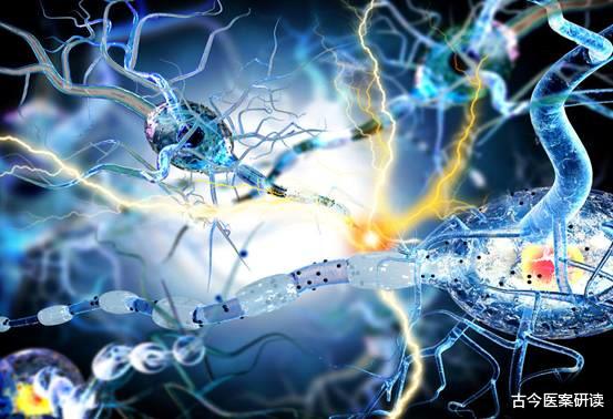 红薯|吃一次“相当于”吃10斤洋葱，医生：嘴巴张开吃一口，血管畅通无阻