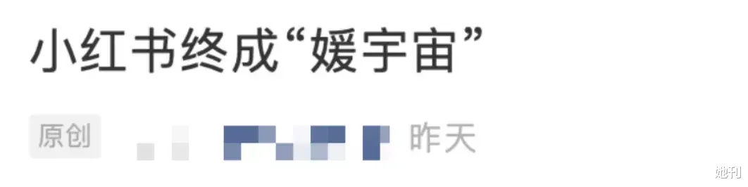 她刊 前天鉴茶、昨天鉴鸡、今天鉴媛？