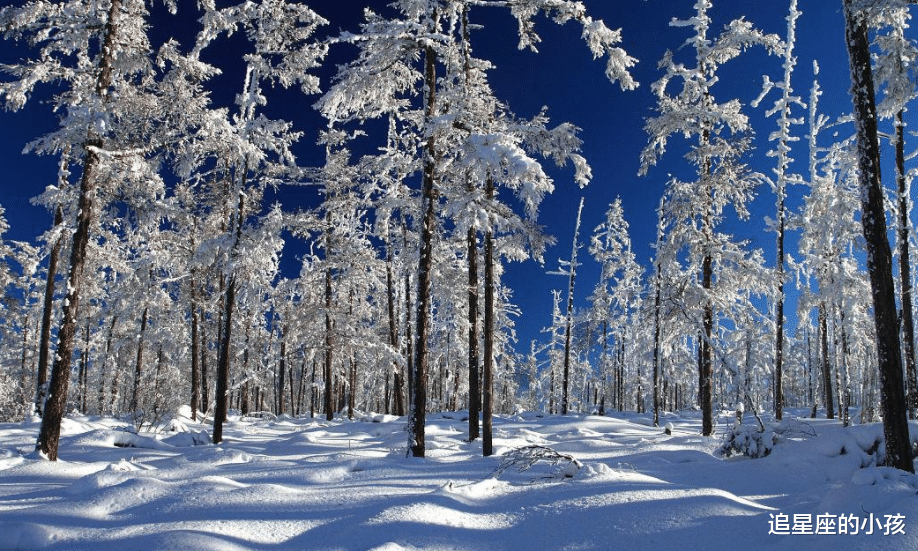 追星座的小孩 白羊座那些不为人知的小秘密，你或者你的朋友们占了几条？