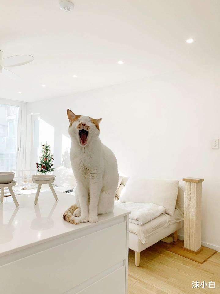 展现逆天的设计!96平逼仄厨房硬是多了岛台,吊打一半老户型!