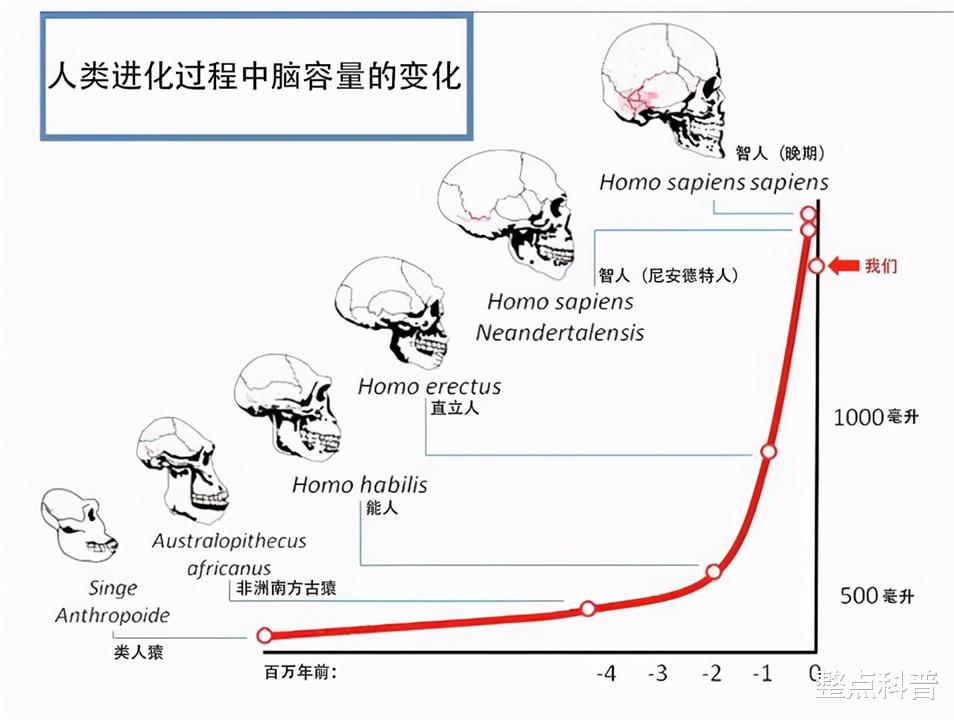 我国发现新人种“龙人”,人类起源或被改写?它是中国人祖先吗?