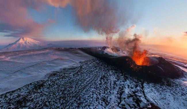 动力学|三叠纪末的灭绝不是单一重大事件的产物