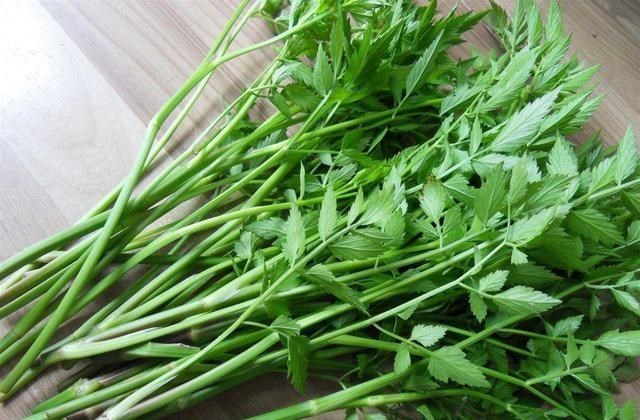 护肤|天然“泻药”被发现，隔日吃一次，养颜护肤，还能瘦身去口臭