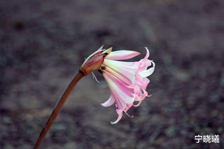 宁晓曦|射手座在哪些事情上反应最迟钝？