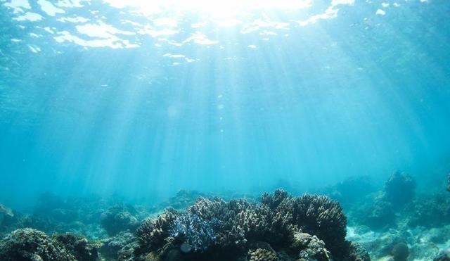 海洋生物 鲸鱼都算“小饼干”？若这3种远古生物还活着，谁敢踏入海洋？