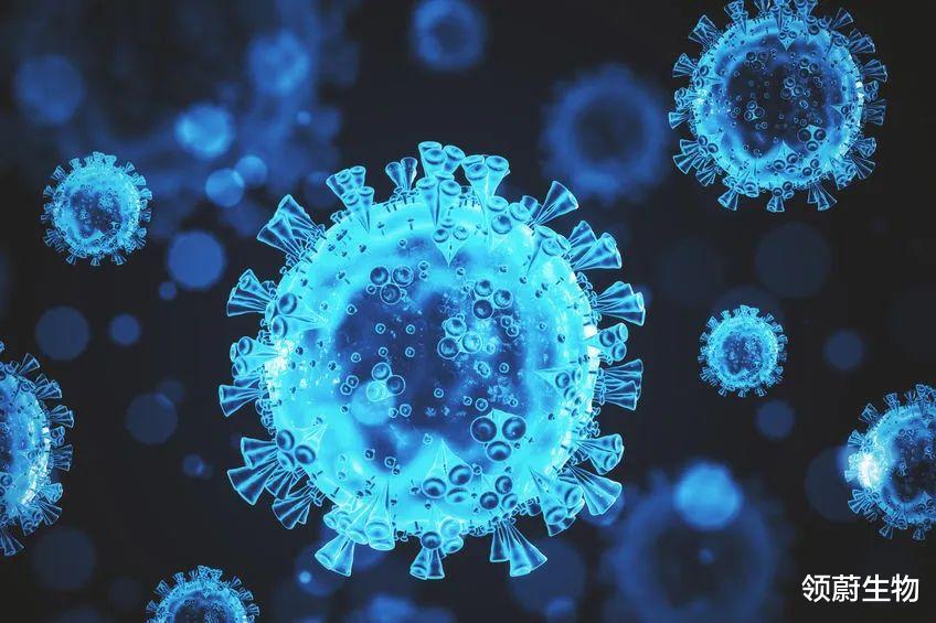 领蔚生物 全世界最漫长新冠感染：从癌症中康复后，她在新冠中挣扎了335天