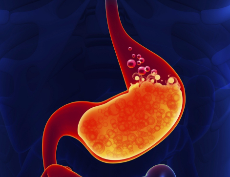 胃酸 听说不小心把蚂蟥吃进肚子里，它会在肚子里繁衍后代，是真的吗？