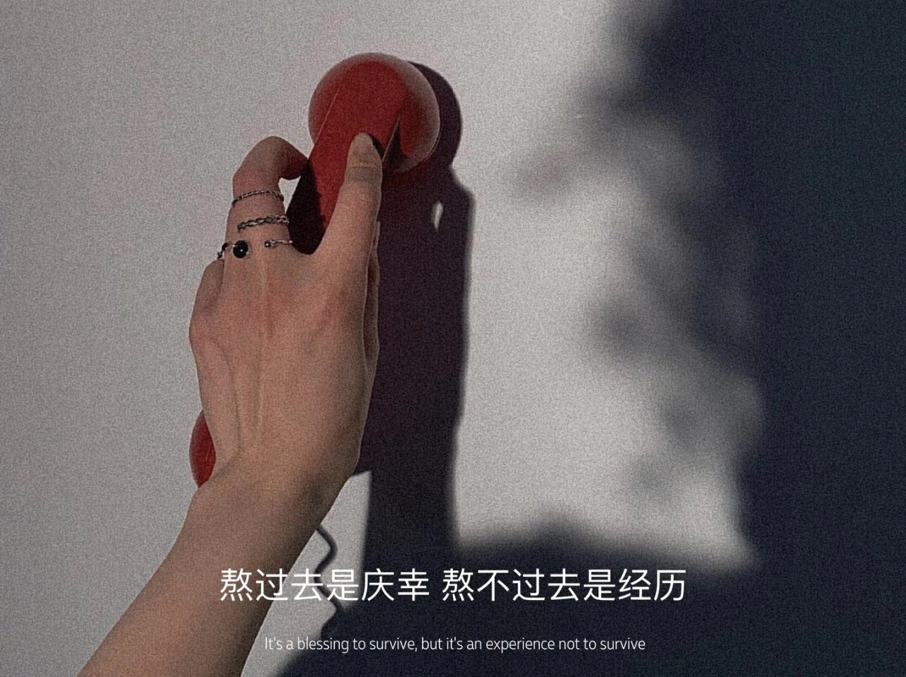 墨陌文案馆|文案 |  所有道理都懂  但是理性还是败给了情绪