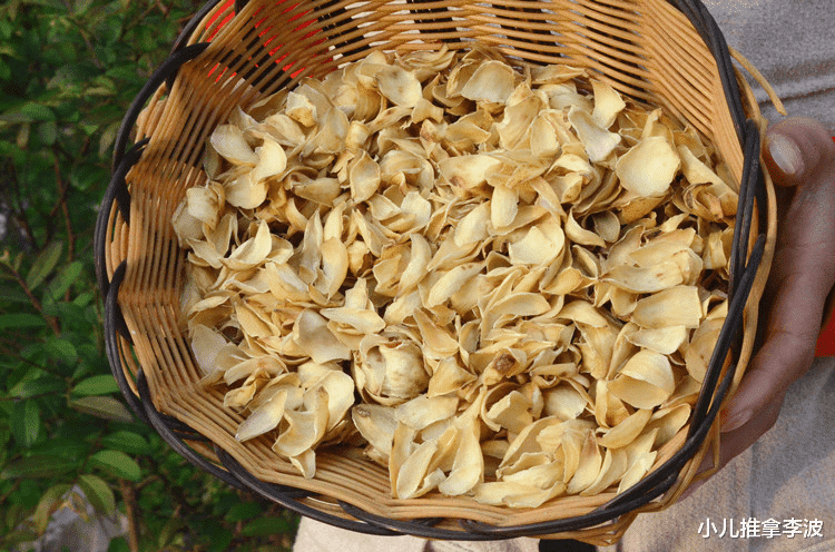 小儿推拿李波|小儿推拿李波:百合的功效与作用,百合的食用方法和禁忌有哪些?