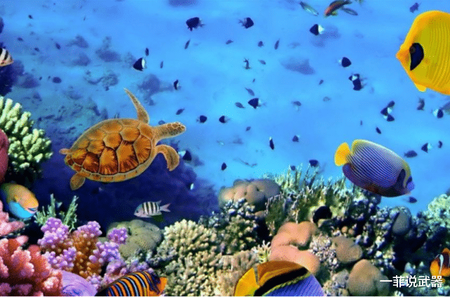 水底奥秘 这3种生物被称“海洋之霸”，属于顶级掠食者，还好它们早已灭绝