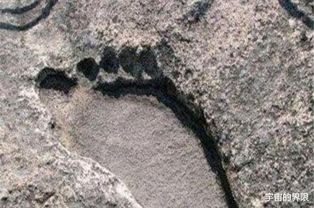 外星人|3亿年前地球就有“外星人”存在，史前脚印正在陆续被发现