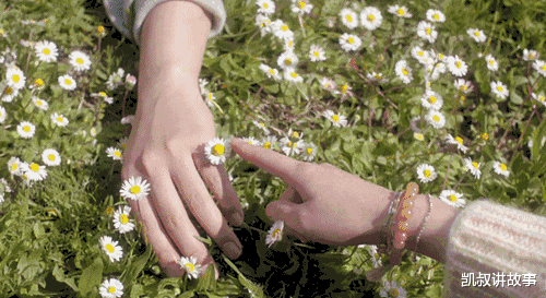 凯叔讲故事|孩子被同学欺负后，父母的回应里，藏着孩子的性格