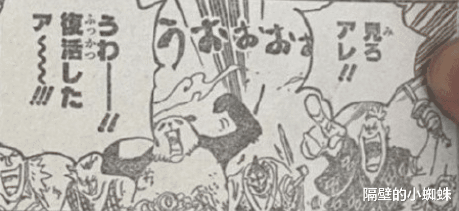 马尔科|海贼王1022话，马尔科：明星登场！索隆怒砍烬，山治踢飞奎因