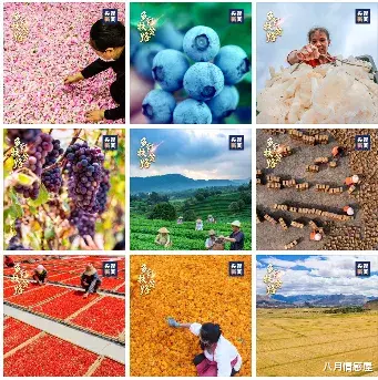 黄文秀|沈梦辰官宣结婚，撕破脸皮：你是个男人吗？