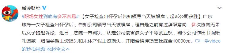金智英|聪明女人，后半生不拼男人、不拼孩子，拼的是“自由”