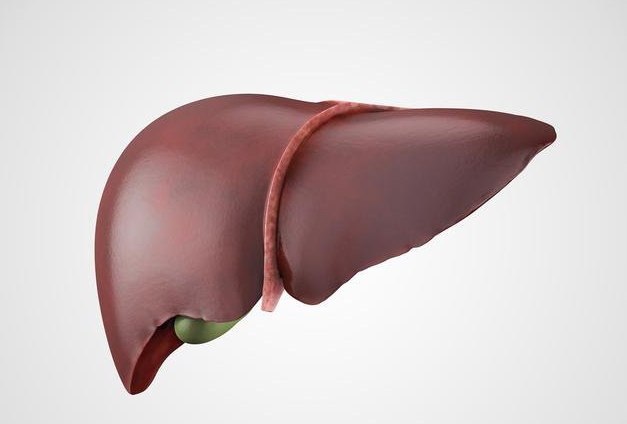 肠镜|肝癌发现就是晚期？医生提醒：若身体出现“2痛2臭”，或是肝在求救