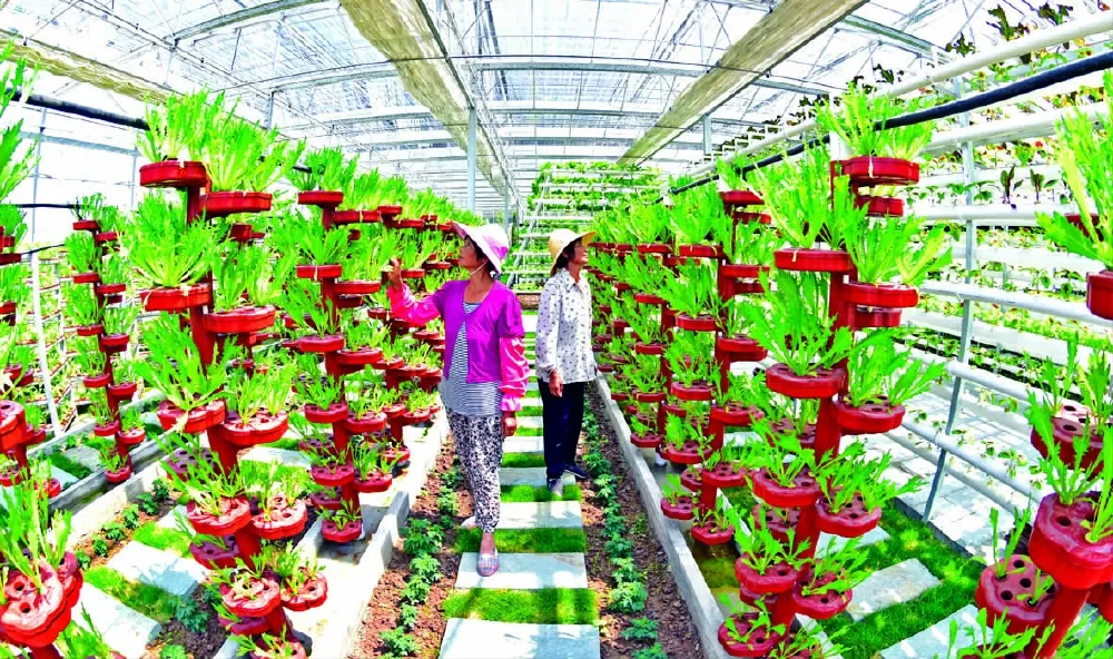 南充特色街访新 南充2天签约300亿大单子——