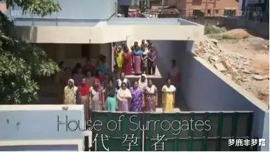 bilibili|才女徐静蕾跌落神坛：你自恃特权的自信，是谁给你的