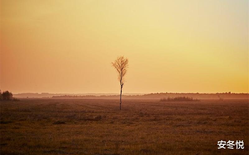 安冬悦 一个人要想过好这一生,离不开这两个字