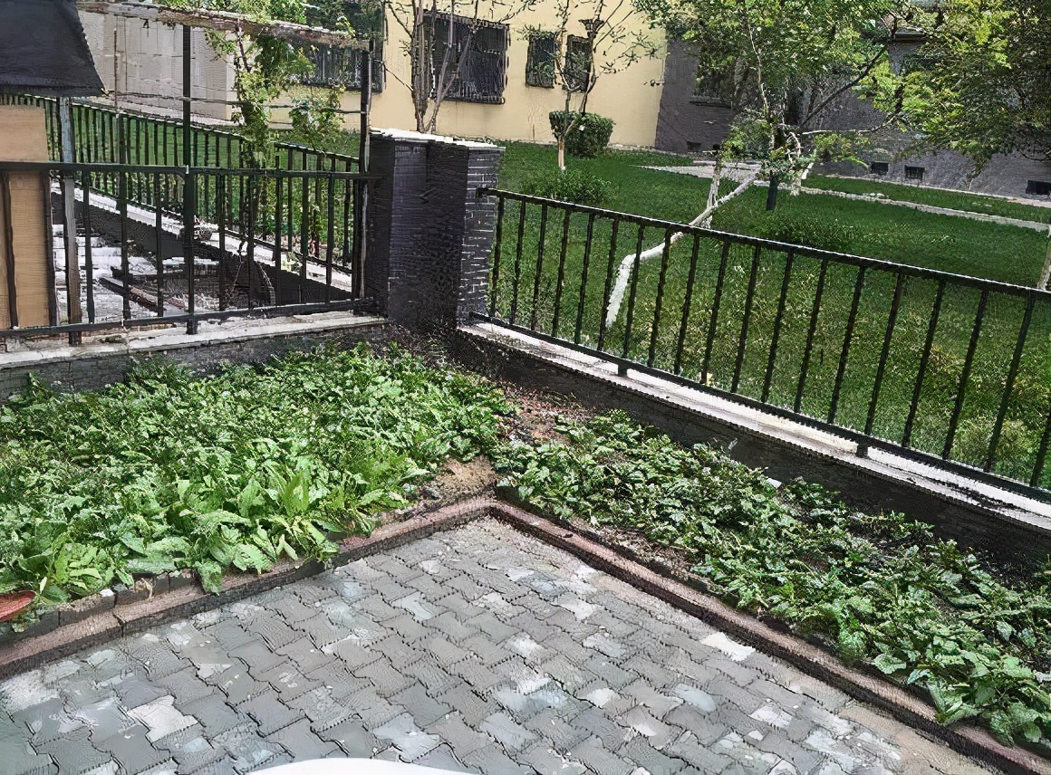 老婆买房坚持选一楼,装修改造成小复式,物业队长都说碰上内行人了!