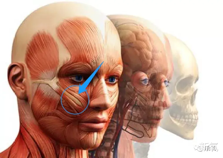 蔡少芬|孙俪之后，为什么蔡少芬身上的美人感也逐渐消失了？