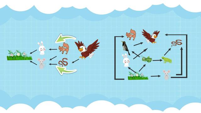 蝙蝠 蝙蝠被很多人厌恶，但是人类的生活却离不开蝙蝠，原因是什么？