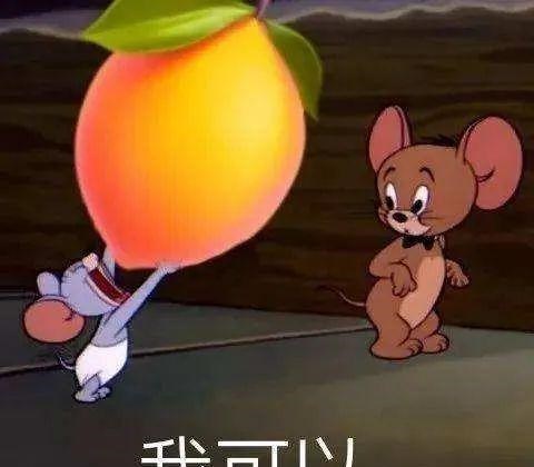 大学生|看到这些“另类”辞职信，还说大学生就业难？炒掉老板这么任性