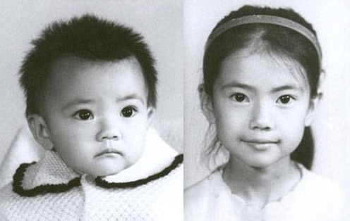 高圆圆|“绝世女神”高圆圆上位记，和她背后的5个男人