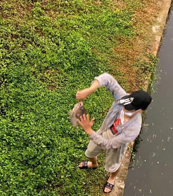 非法捕捞|繁殖季，广州河道里“巨型罗非鱼”频现，钓鱼人：都是三五斤的