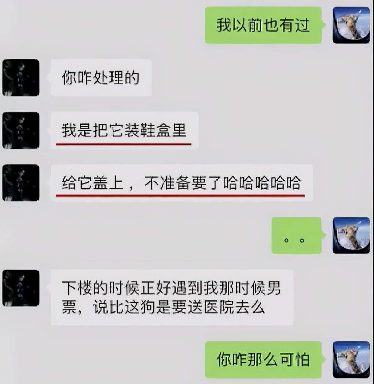 郑爽|郑爽偷税漏税实锤！还想帮其他明星洗钱，1.5亿不满足要涨到1.8亿