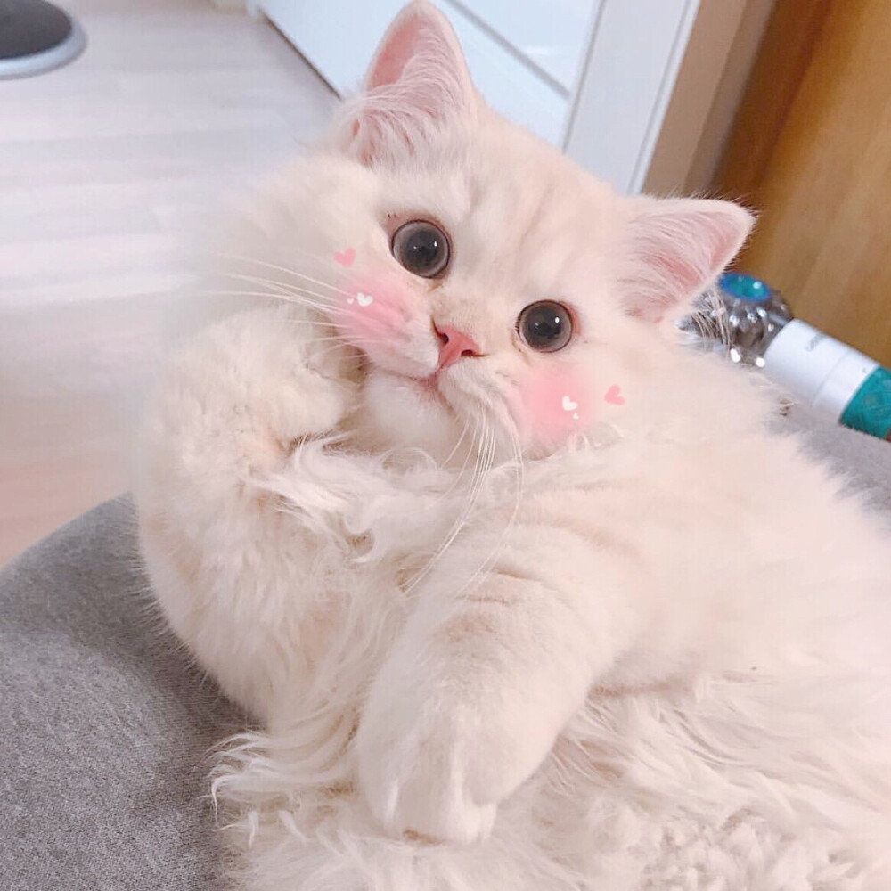 美女才能刷到的减肥文案