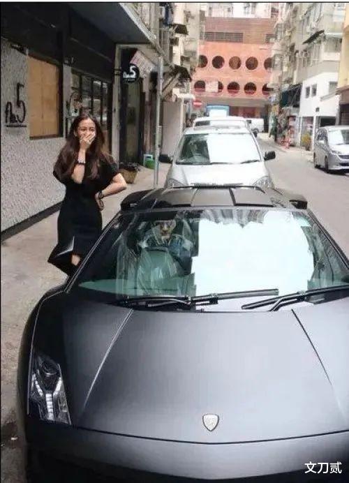 黄晓明|黄晓明的坚持，自己选的老婆，咬着牙也要撑到底