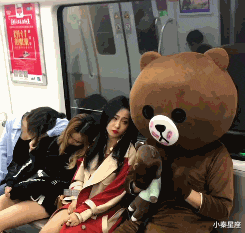 小秦星座|搞笑GIF：本来是个小狗狗，戴上面具变成小猫咪。
