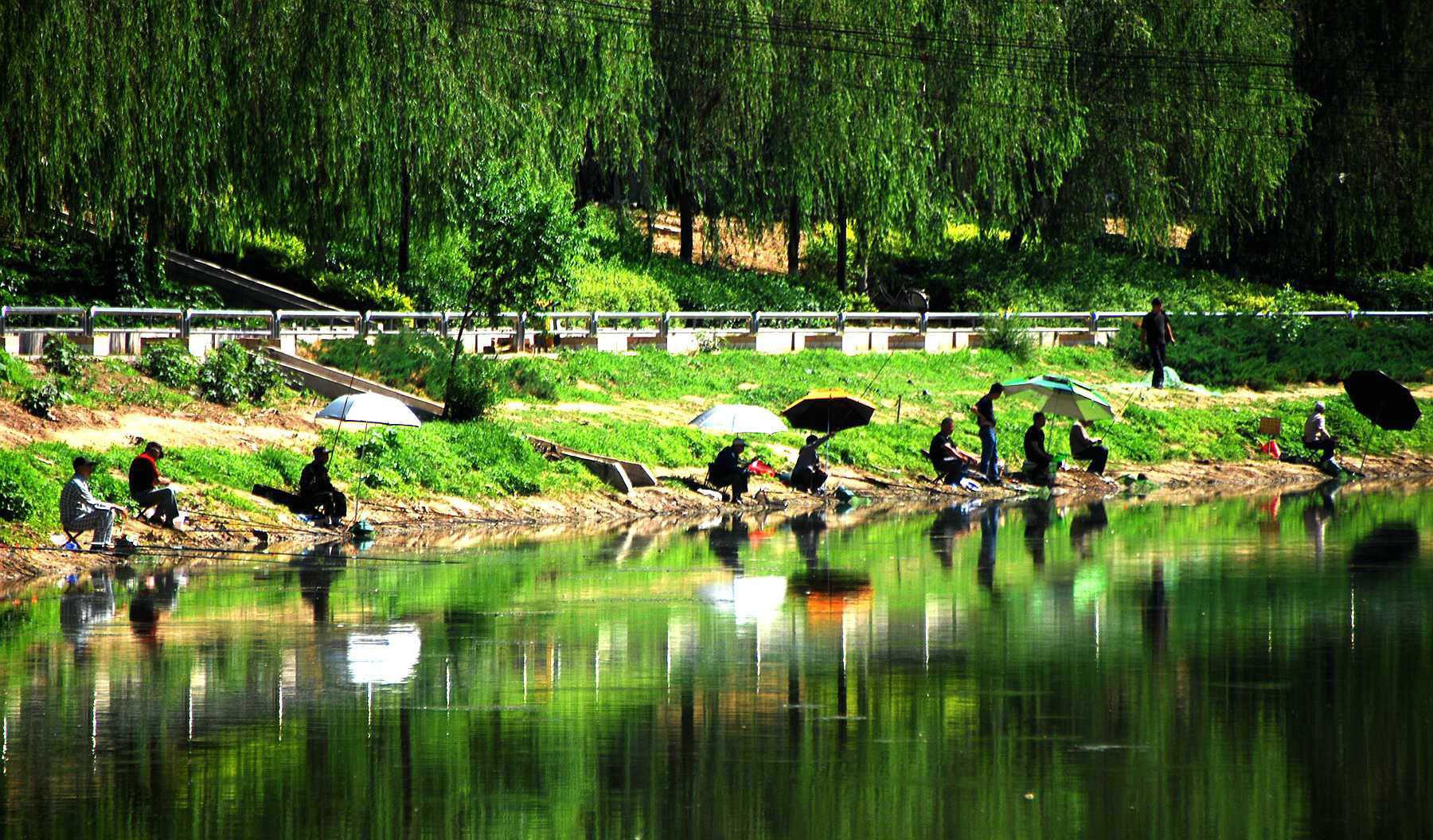 |温度对钓鱼的影响有多大？适合钓鲤鱼、鲫鱼、青鱼和罗非鱼的温度